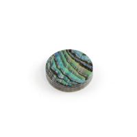 Picture of Abalone Dot 6.5mm x 1.3mm