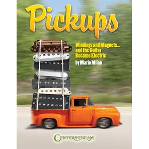 Picture of Pickups, Windings and Magnets