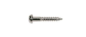 Picture for category Bridge Screws