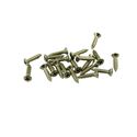 Picture of Fender Pickguard Screw - Stainless Steel - Bag of 20