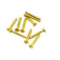 Picture of Humbucker PIckup Mounting Ring Screw - Bag of 10 - Gold