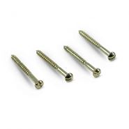Picture of Slot Head Neck Pickup Screw - Bag of 4